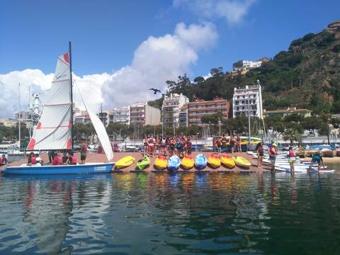 Multiactivitat