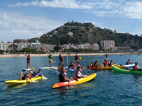 78a3d-Kayak---Paddle.jpg