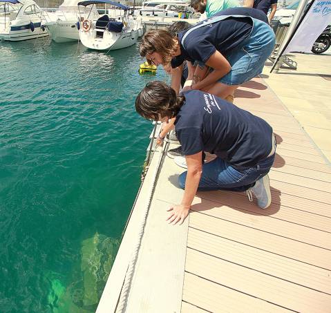 El CVB reafirma su compromiso con la sostenibilidad con la instalación de un sistema de regeneración del medio marino - 3