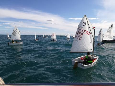 Trofeu Tardor N3 Optimist i Open