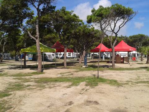 Everything is ready for the big event of surfers - 6