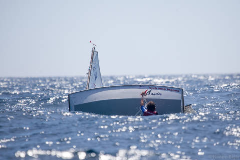 Arrenca el Trofeu Primavera classe Optimist amb ratxes de fins a 18/20 nusos. - 4