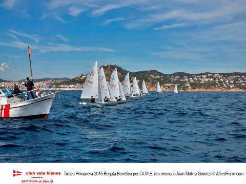 Èxit de participació al Trofeu Primavera 2015 (Regata Benèfica per l'AME). - 4