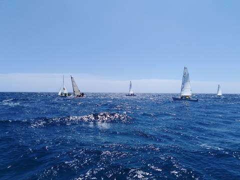 Sábado festivo con el Marina Day y el Campeonato Cataluña Special Olympics - 17