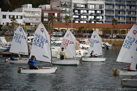 Arranca la regata Vila de Blanes de Optimist con 145 regatistas de todo el litoral catalán. - 4