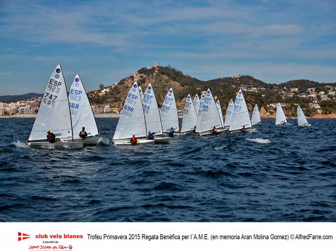 Èxit de participació al Trofeu Primavera 2015 (Regata Benèfica per l'AME). - 5