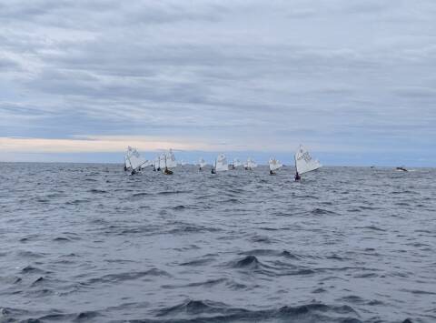 Cinc regatistes del Club de Vela Blanes participen en la 52a Regata N2 d’Optimist
